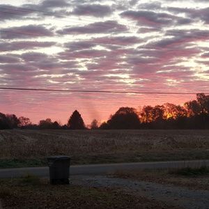 Meet your Posher, Cynthia